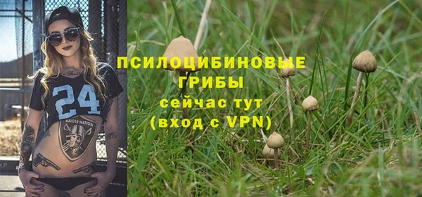 твердый Армянск